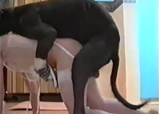 Awesome black doggy impaled her snatch