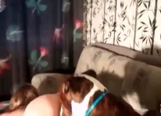 Sexy brown dog fucked her little hole