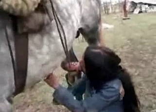 Sucking huge horse dick like a professional