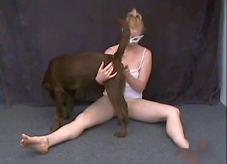 Perfect doggy sniffs and fucks her hole