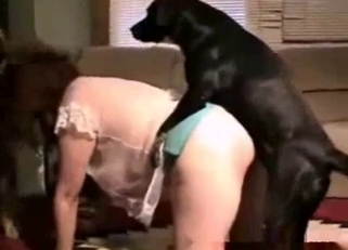 Busty babe plays with her personal pet