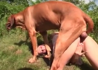 Crazy outdoor animal sex XXX with doggy