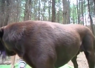 Passionate black doggy is enjoying dirty sex