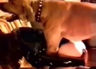 Big-ass chick fucked nicely by her dog