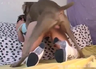 Masked hottie fucked by her black doggy