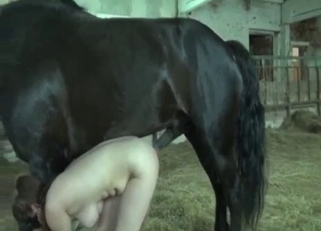 Awesome black pony has a very massive boner