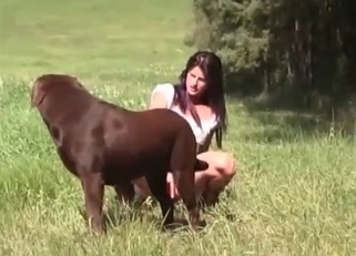 Playful brown dog fucked her wet vagina