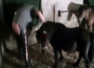 Gorgeous pony impaled her wet tight hole
