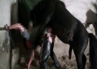 Gorgeous pony impaled her wet tight hole
