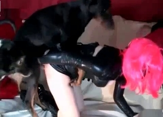 Two crazy dogs are licking her tight cunt