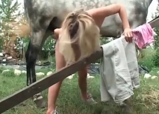 Sexy white stallion drills her snatch