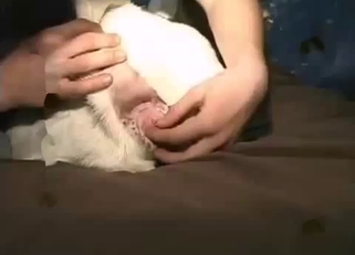 Playing with tight anus of my doggy