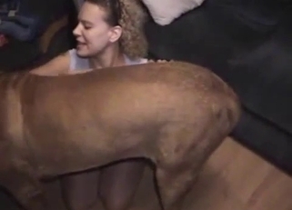 Sex hungry doggy and perverted zoophile