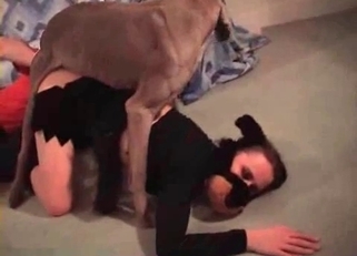 Hardcore and very fast bestiality XXX