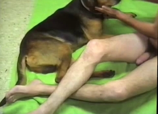 Doggy and zoofil lover in amazing animal sex porn