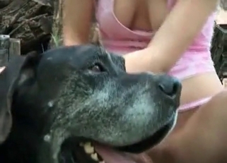 Zoo slut gets her pussy licked by black doggy