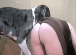 Collecting doggy's semen with pleasure