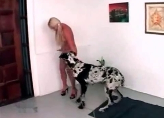 Dalmatian fucked slender blonde zoophile