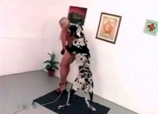 Dalmatian fucked slender blonde zoophile