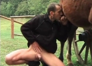 Old man is sucking his stallion's dick