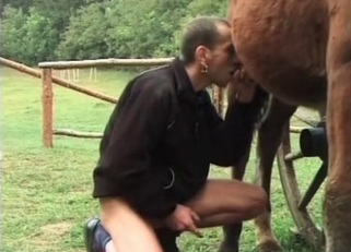 Old man is sucking his stallion's dick