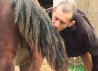 Old man is sucking his stallion's dick