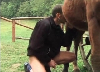 Old man is sucking his stallion's dick