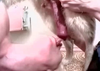 Sucking doggy's dick like a freaking pornstar