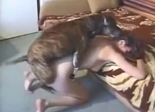 Busty brunette and animal in homemade bestiality
