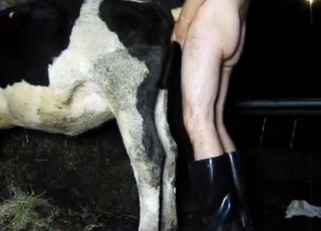Fucking good cow in doggy pose as I love