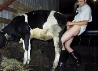 Fucking good cow in doggy pose as I love
