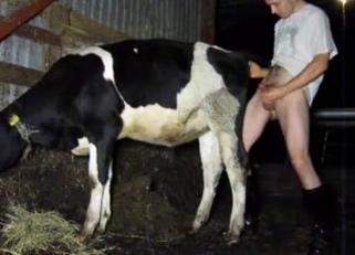 Fucking good cow in doggy pose as I love