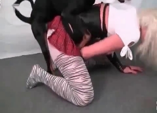 Black dog eats her pussy for breakfast
