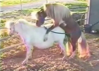 Cute small pony enjoys nasty bestiality XXX