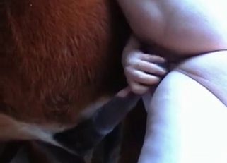 Redhead beauty performs a good blowjob
