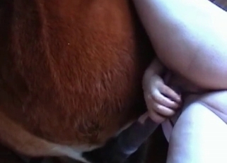 Redhead beauty performs a good blowjob