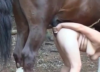 Gorgeous anal sex with my amazing stallion