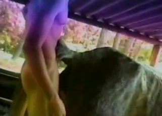 Screwing my own stallion in doggy style pose