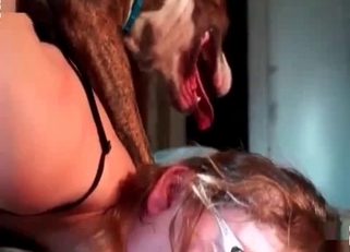 Gorgeous sex with doggy and filthy zoophile