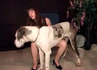 Sweet trained doggy in awesome bestiality XXX