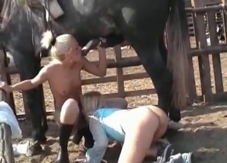 Two ladies are playing with a big stallion
