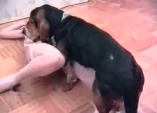Playful doggy and impressive zoophile slut