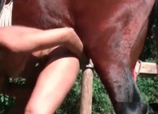 Slender farm girl enjoys her massive stallion