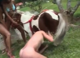 Three slender ladies and their cute pony
