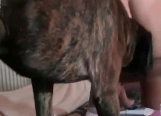 Cutie undresses for her lovely doggy