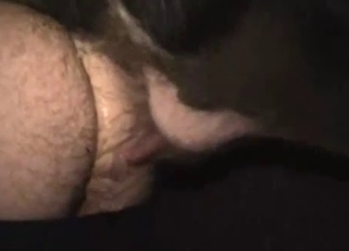Nasty pig pounds a big-ass man from behind