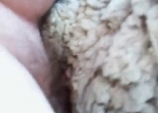 Fucking sheep ass in doggy style pose
