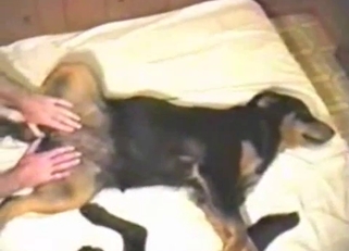 Training my doggy to fuck me good
