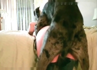 Awesome big-ass babe fucked by her animal