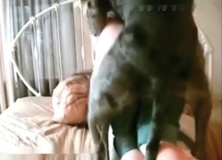 Awesome big-ass babe fucked by her animal